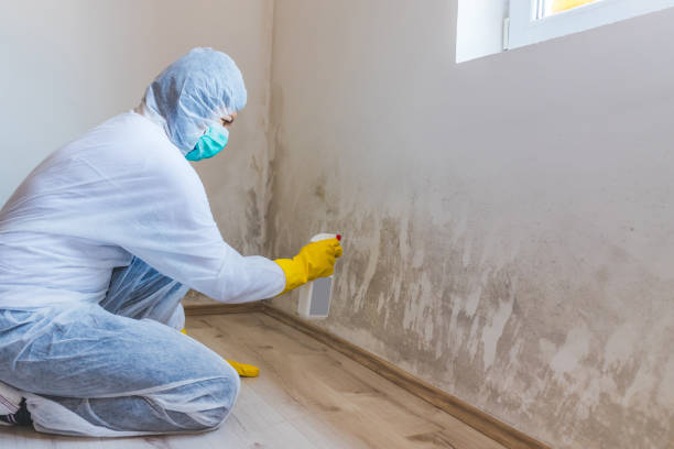 Licensed Mold Remediation service in Warminster, PA - WQB Mold Removal