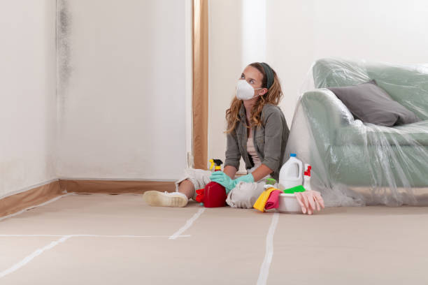 Reliable Mold Remediation contractor in Warminster, PA by WQB Mold Removal